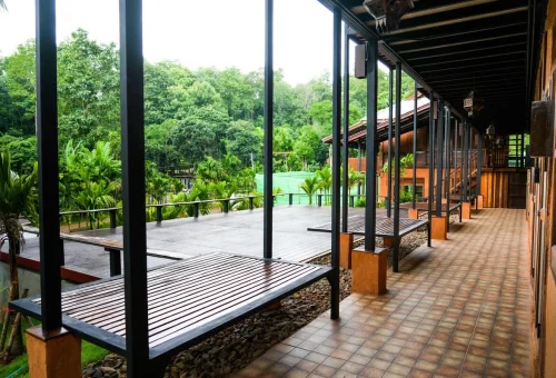 chiang-mai-elephant-sanctuary-overnight-lodge