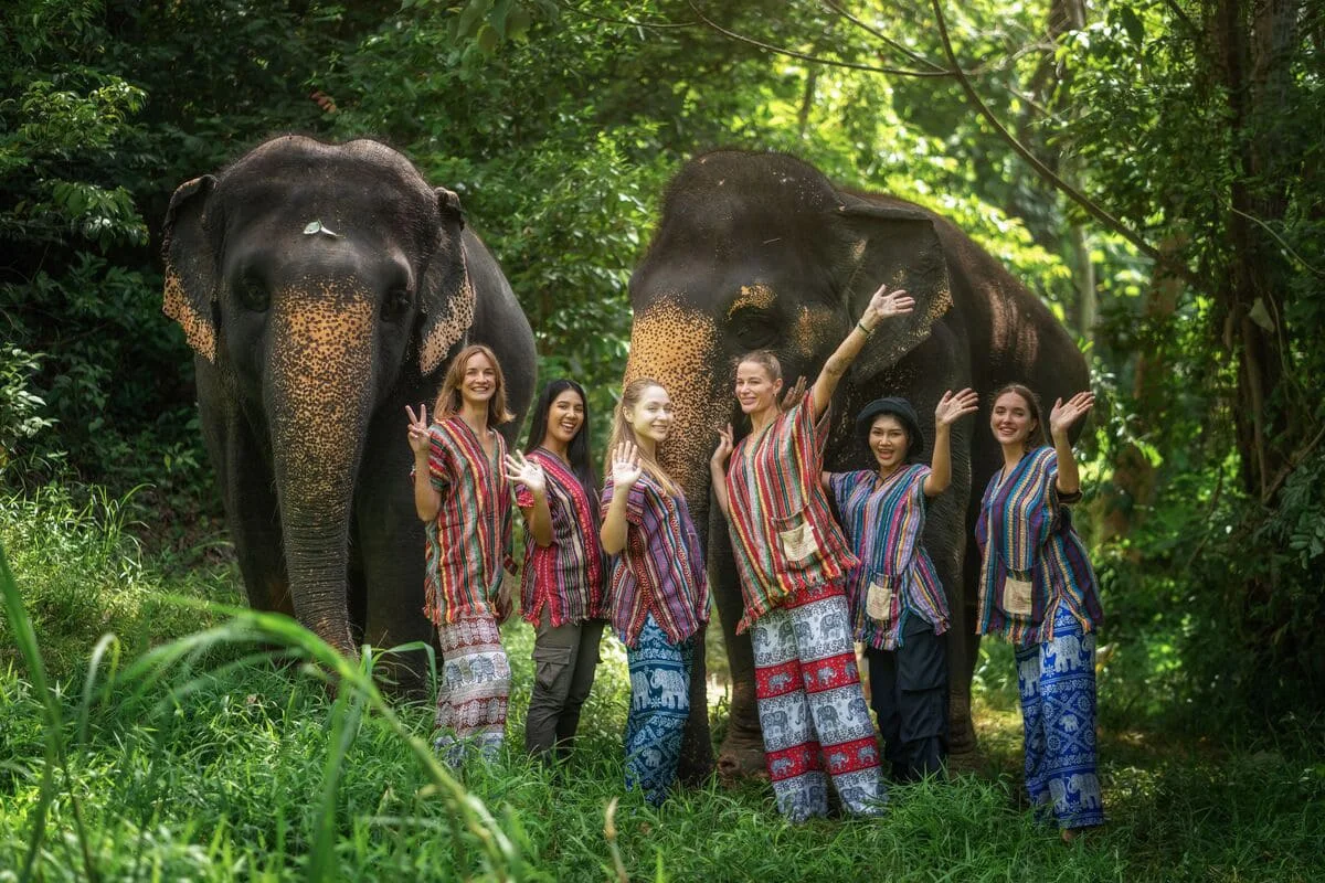 Phuket Elephant Sanctuary Group Walk Experience