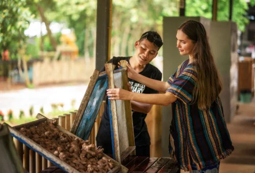 Guest preparing elephant food during the Phuket Elephant Jungle Sanctuary One Day Walk Experience