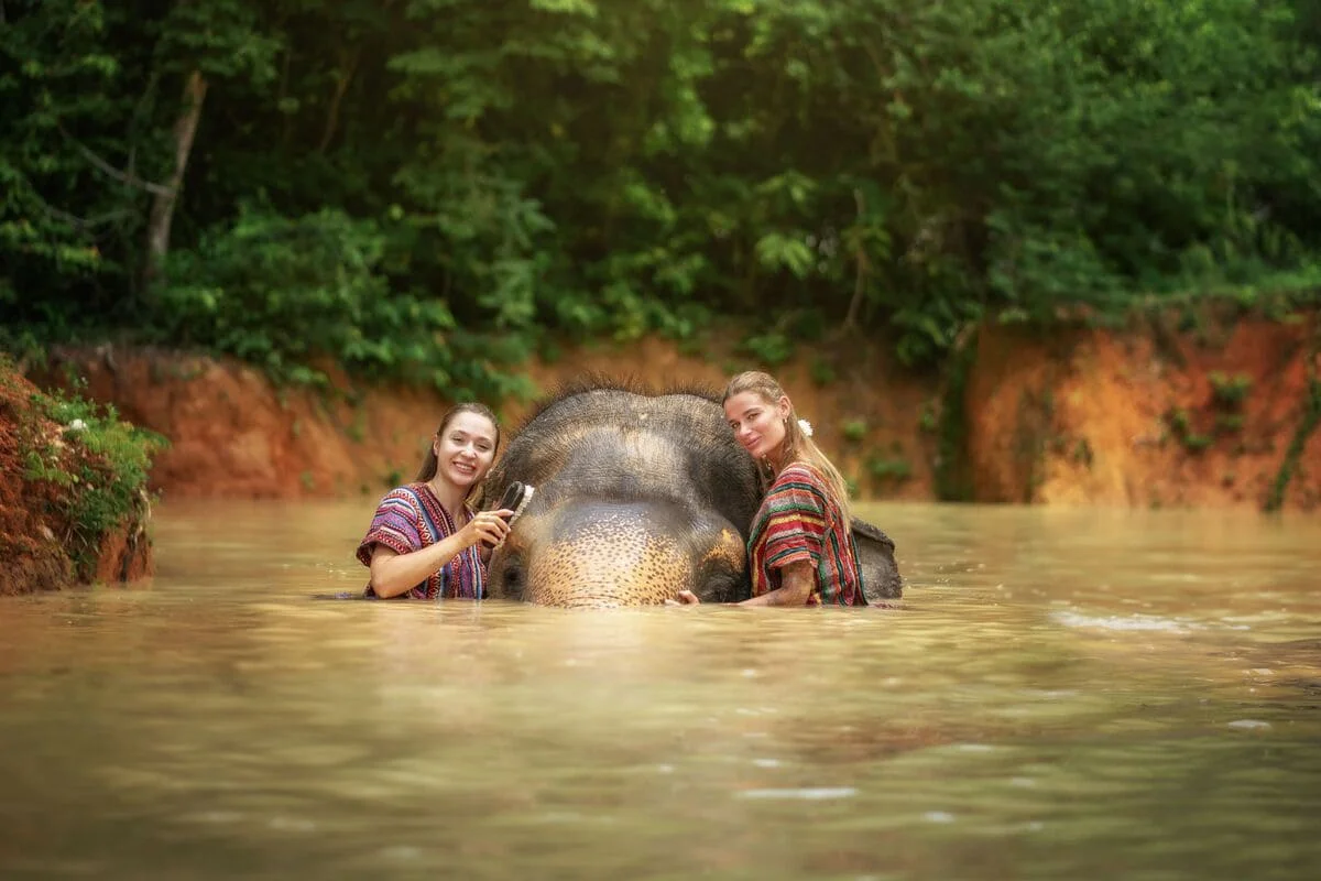 Visitors bathing with an elephant in the river at Phuket Elephant Jungle Sanctuary