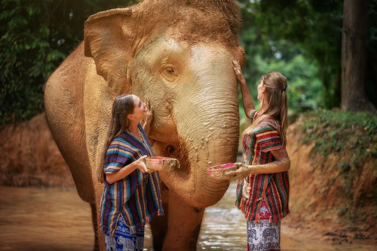 Visitors enjoying a therapeutic mud spa with an elephant at Phuket Elephant Jungle Sanctuary