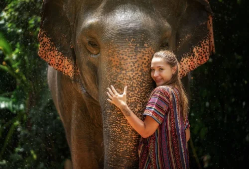 Visitor enjoying a close encounter with an Asian elephant at Phuket Elephant Jungle Sanctuary