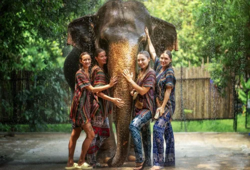 phuket-elephant-sanctuary-elephant-bathing-group