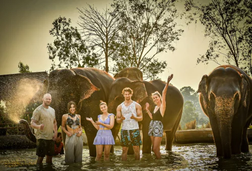 Visitors enjoying an elephant bathing experience in Pattaya with rescued elephants at Elephant Jungle Sanctuary