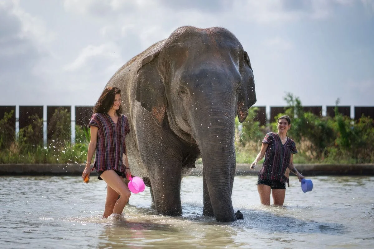 Visitors bathing and interacting with an elephant during a Pattaya Elephant Jungle Sanctuary tour