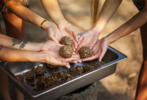 Pattaya Elephant Sanctuary Elephant Food Treats