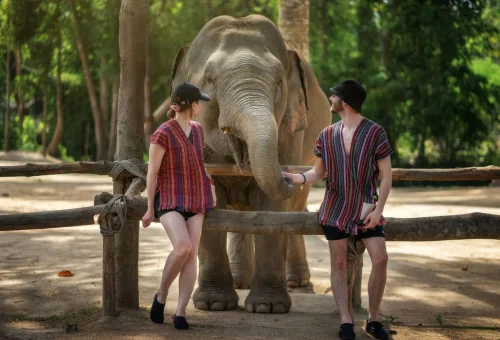 Samui Elephant Sanctuary Couple Experience 05