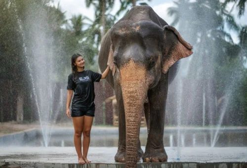 Samui Elephant Bathing Shower Experience 06
