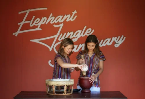 samui-elephant-sanctuary-nutrition-preparation