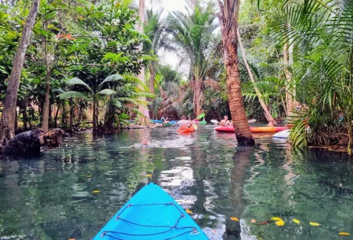 Private Krabi kayaking tour on crystal-clear freshwater