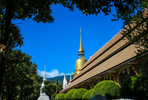 Golden chedi at Wat Suan Dok Lanna temple in Chiang Mai