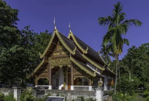 Traditional Lanna Buddhist temple surrounded by palm trees in Chiang Mai