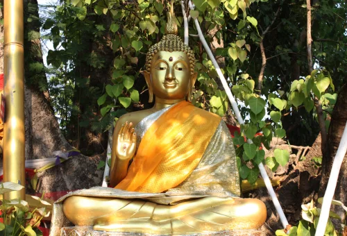 Golden Buddha statue at a historic temple in Chiang Mai