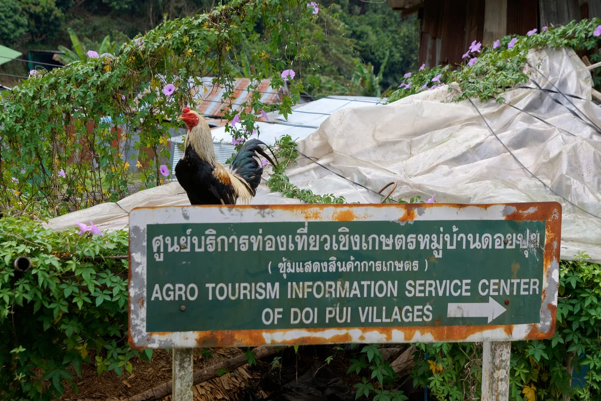 Agro tourism information sign at Doi Pui Village Chiang Mai