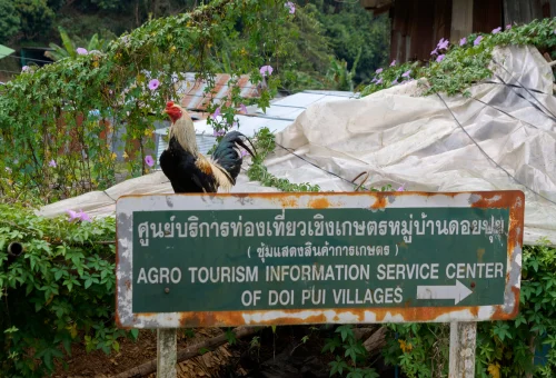 Agro tourism information sign at Doi Pui Village Chiang Mai
