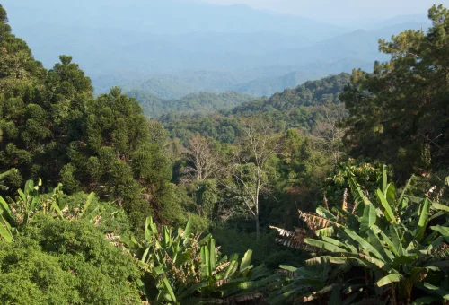 Doi Pui Village Chiang Mai Thailand