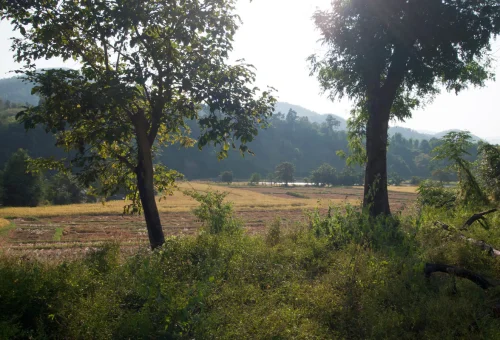 Doi Pui agricultural landscape and mountain scenery near Chiang Mai