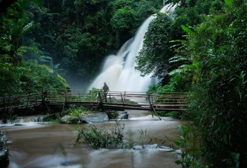 Pa Dok Siew Waterfall Doi Inthanon Chiang Mai