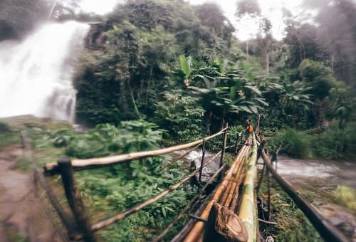 doi-inthanon-forest-hiking-trail-chiang-mai