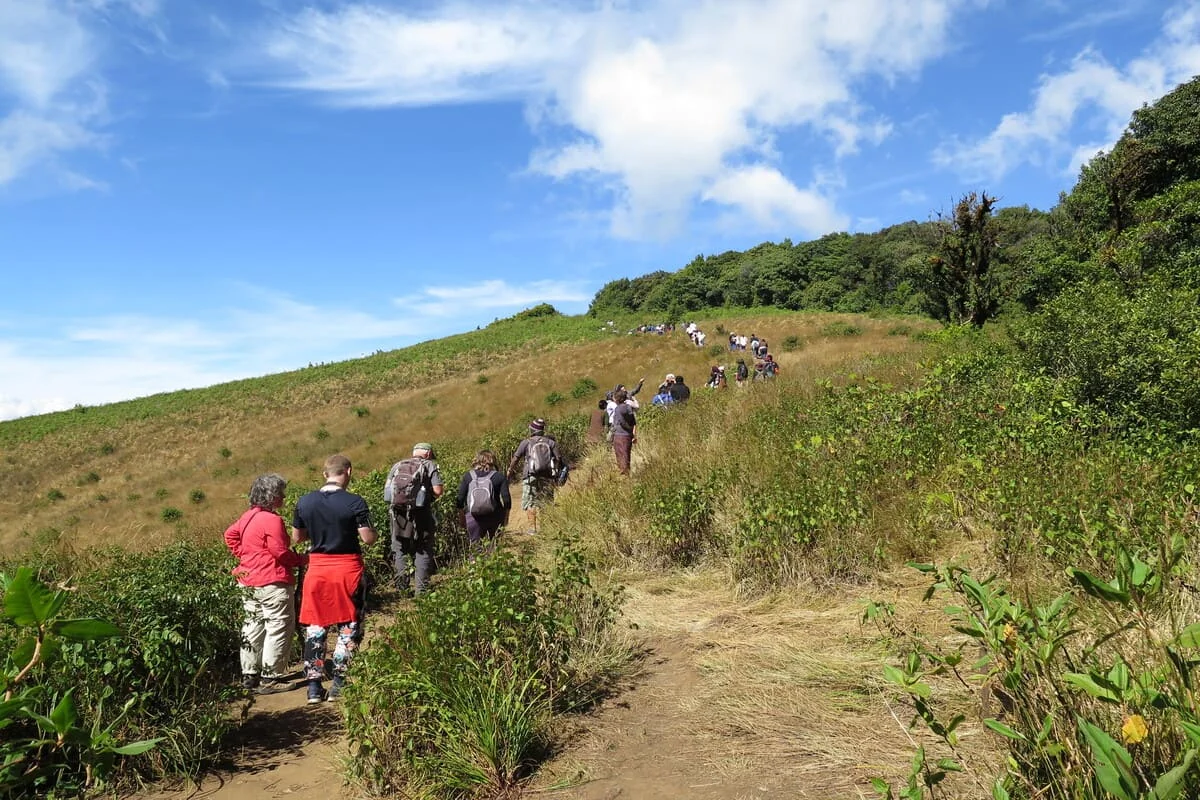 Hikers walking along a mountain trail in Doi Inthanon National Park