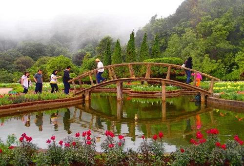 Doi Inthanon Nature Trail Flower Garden Chiang Mai