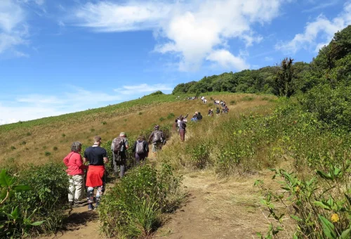 doi-inthanon-hiking-trail-chiang-mai-thailand