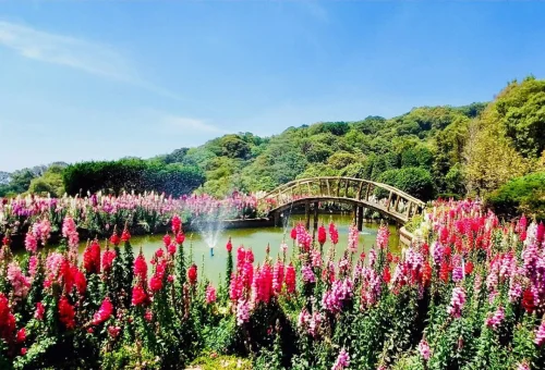 Doi Inthanon Twin Pagodas Flower Garden Chiang Mai