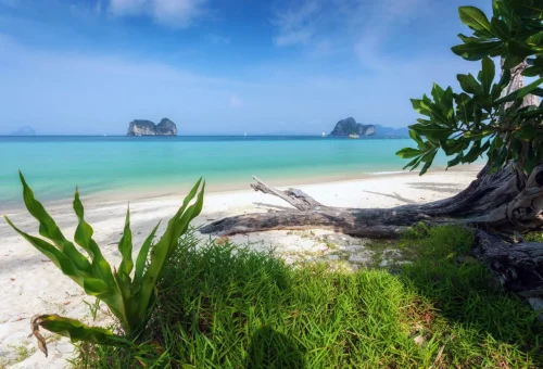 Koh Ngai Thailand white sandy beach and turquoise sea