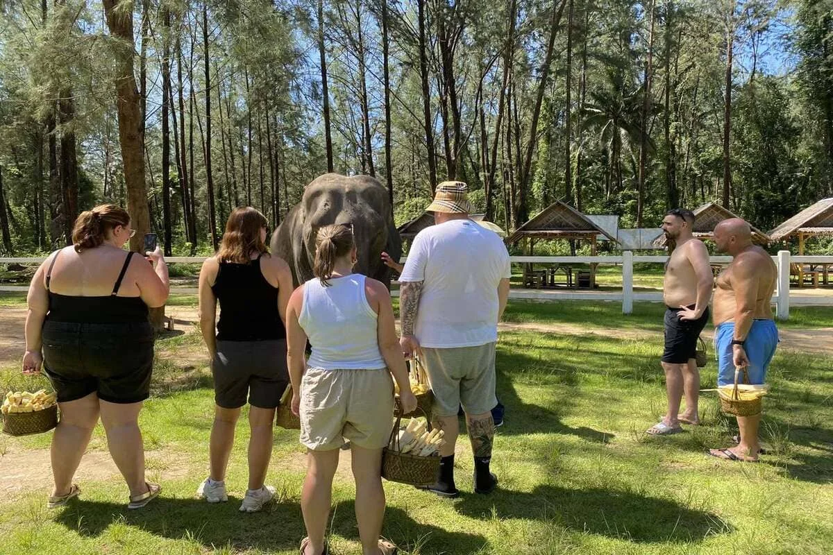 Visitors feeding elephants during a Khao Lak elephant experience in Thailand