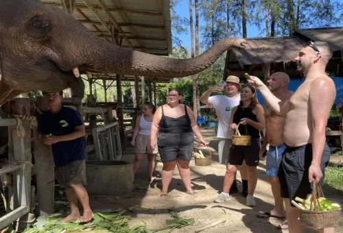 Visitors feeding an elephant during a Khao Lak elephant feeding experience