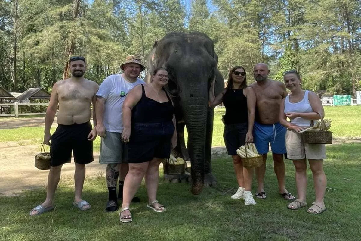 Visitors feeding elephants on a Khao Lak elephant feeding tour