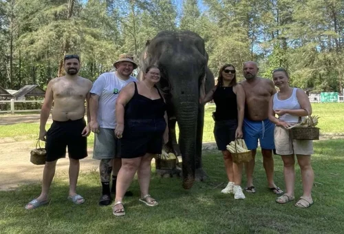 Khao Lak Elephant Feeding Tour Thailand