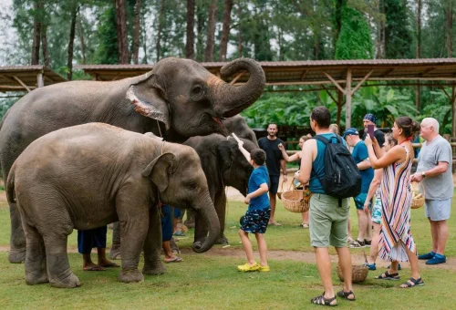 Family group enjoying an elephant feeding experience in Khao Lak Thailand