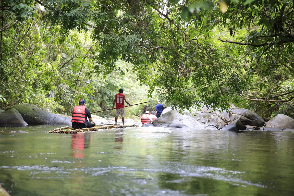 Traditional bamboo raft travelling along a peaceful river surrounded by tropical forest