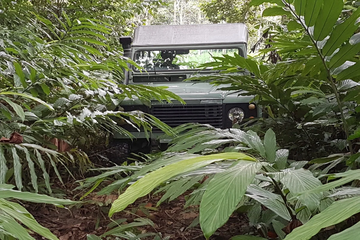 Green Land Rover off-road jeep navigating a narrow track through the tropical jungle