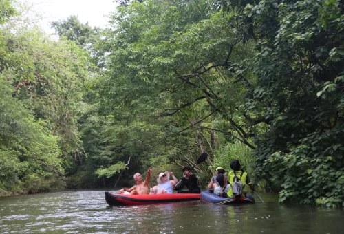 Visitors enjoy a guided canoe trip along the lush Sok River in Khao Sok