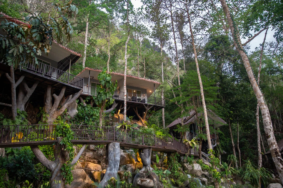 Elevated accommodation surrounded by lush tropical forest at Rock and Treehouse Resort