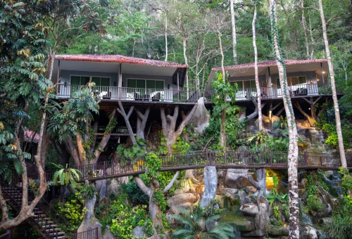 ungle accommodation nestled among tropical trees at Rock and Treehouse Resort in Khao Sok