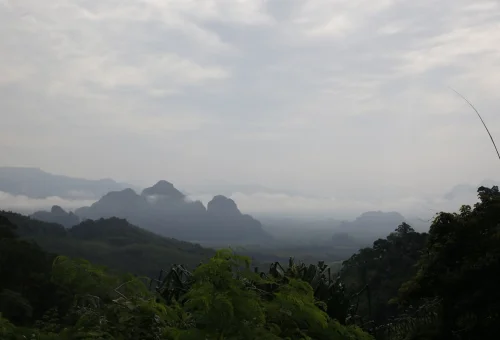 Misty limestone mountains and lush green rainforest in Khao Sok National Park