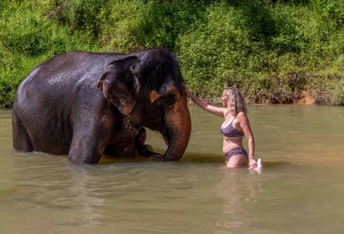 Elephant bathing with a visitor during a Khao Sok 2 Days Discovery jungle adventure in Thailand