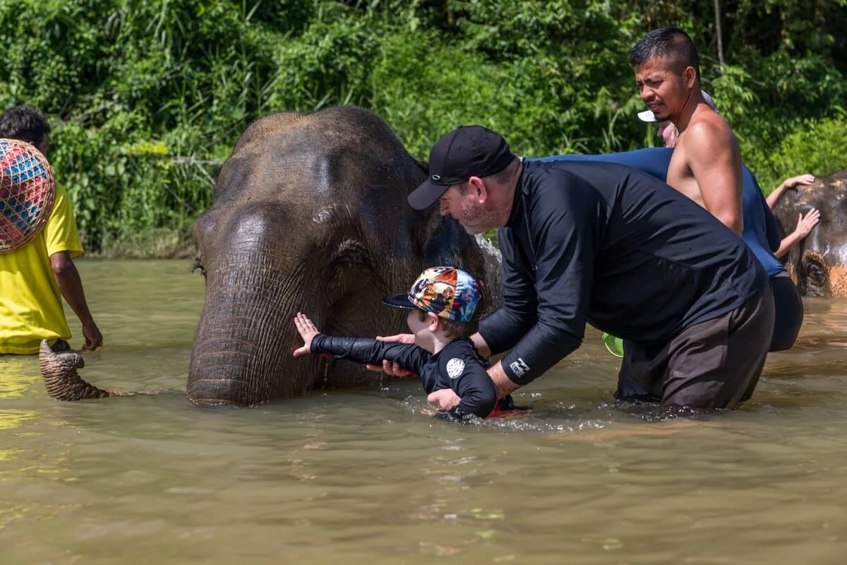 Family enjoying an elephant experience in the river during a Khao Sok jungle adventure