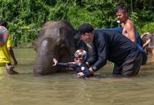 Family enjoying an elephant experience in the river during a Khao Sok jungle adventure