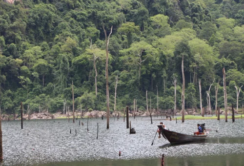 Traditional longtail boat cruising across Cheow Lan Lake in Khao Sok National Park, Thailand