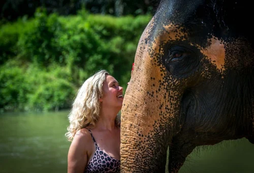 Visitor standing close to an Asian elephant during a Khao Sok elephant experience