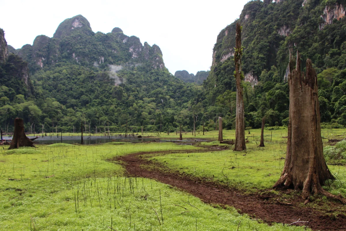 Lush green jungle and dramatic limestone cliffs in Khao Sok National Park, Thailand
