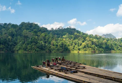 Traditional bamboo raft floating across Cheow Lan Lake surrounded by green rainforest and scenic mountain views