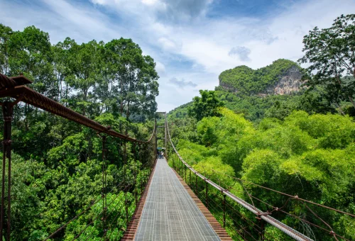 Suspension bridge crossing a lush green forest landscape near Khao Sok National Park in southern Thailand