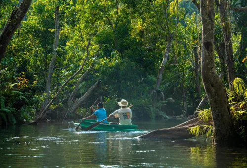 Visitors paddling a canoe along a peaceful jungle waterway surrounded by dense tropical rainforest in Khao Sok, Thailand