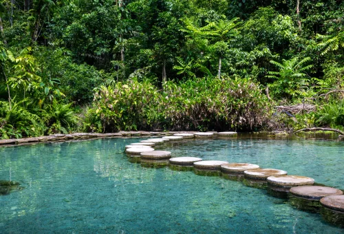 Clear turquoise natural spring water and stepping stones surrounded by lush tropical vegetation at Ban Nam Rad Watershed Forest, Thailand