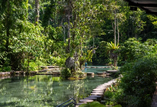Turquoise natural spring surrounded by dense tropical rainforest at Ban Nam Rad Watershed Forest in southern Thailand